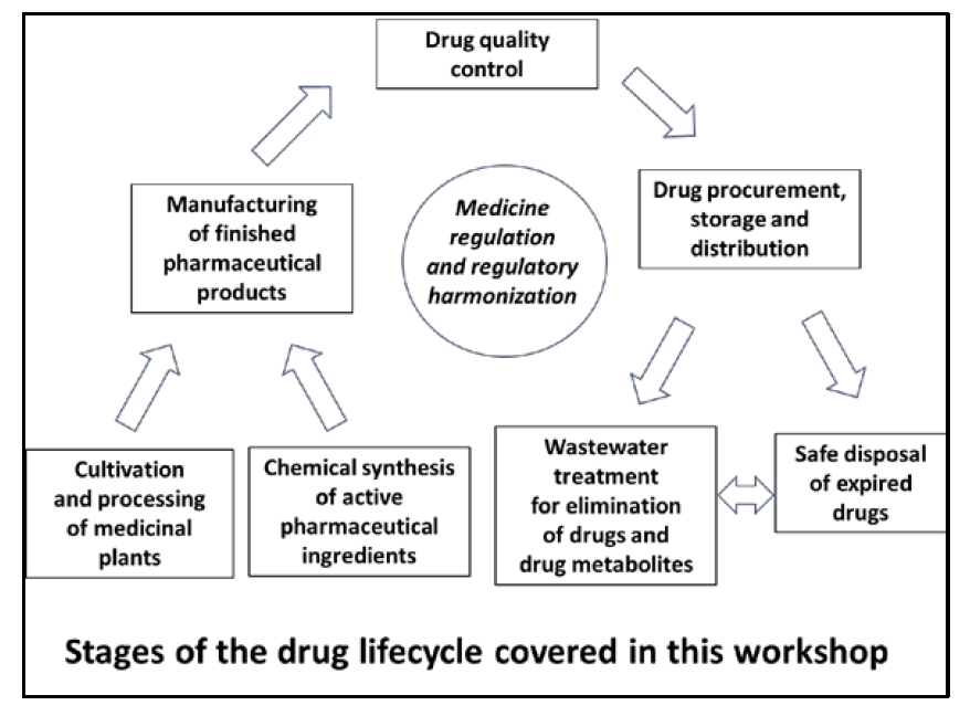 Stages of the drug lifecycle covered in the workshop